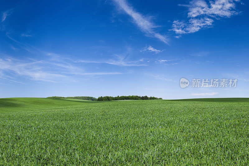 全景春天景观xxxxl112mpix -绿色的田野，蓝色的天空